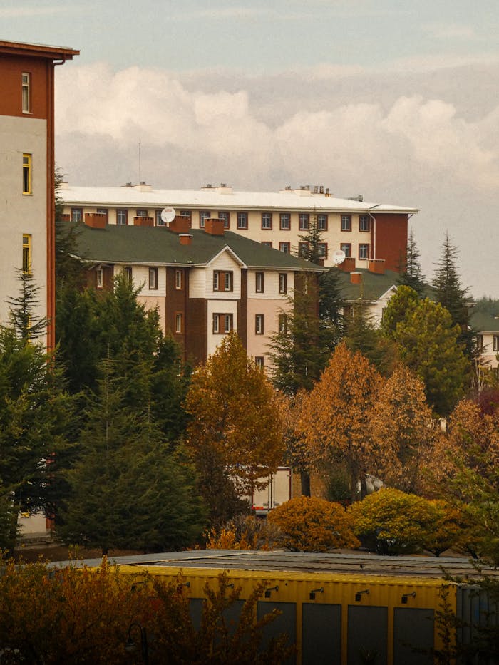 Colorful autumn trees with residential buildings in the background.